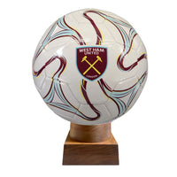 Soccer Ball Urn: A Tribute to a Lifelong Love of the Game